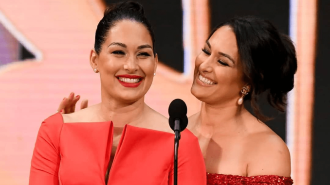 a&e biography bella twins