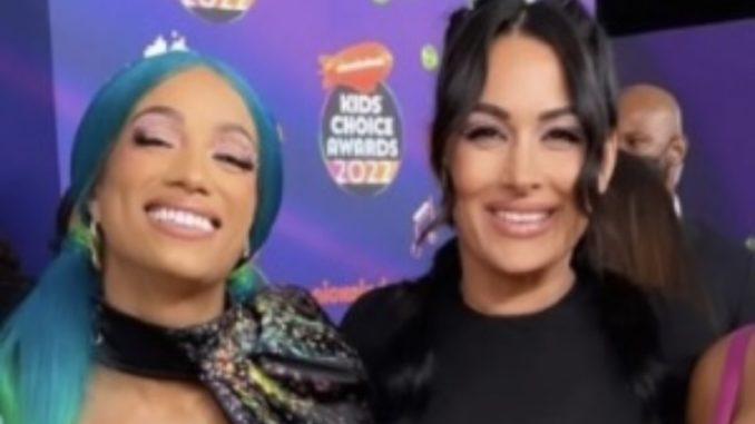 Brie Bella to compete against Sasha Banks on USA Network's 'Barmageddon'  show