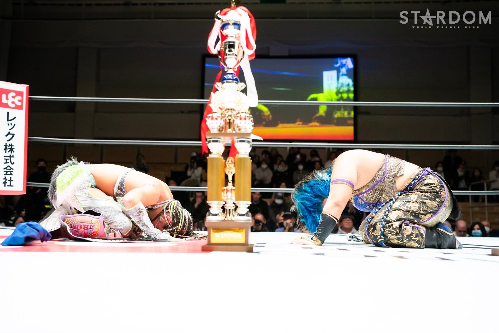 Dream Slam Monthly (Vol. 14) For the Love of Wrestling